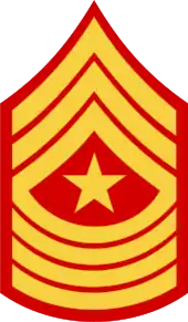 three chevrons up and four down with star