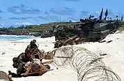 汀線上の障害物を啓開するアメリカ海兵隊員