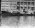リネット (USS Linnet, AM-76)