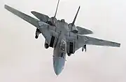F-14B