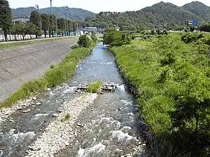 内村川 2012年6月25日撮影