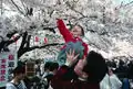 花見