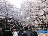 上野恩賜公園(東京都台東区)