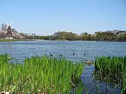 浮間ヶ池（浮間公園）（2006年4月）