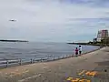 川崎浮島つり園
