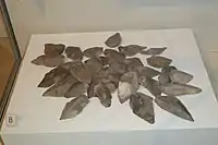 中石器時代の石器類（アルスター博物館の収蔵品）