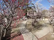 境内にある梅園