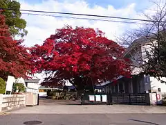西門