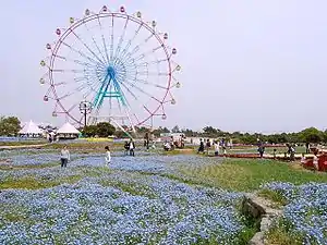 海の中道海浜公園