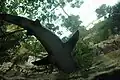 トンネル内部で下から見たサメ