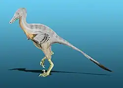 Unenlagia comahuensisの復元画