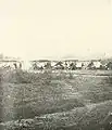 トマス・ウィリアムズ准将指揮下の北軍第2旅団、バトンルージュ市内に宿営した。1862年8月5日撮影。