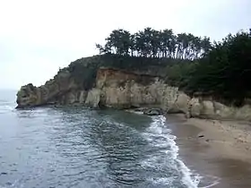 伊師浜海岸・鵜の岬