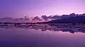鵜ノ崎海岸