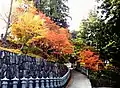 紅葉の参道