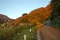 2. 尾根までの登坂路