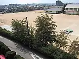 工事前の生垣