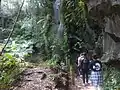 八丈島