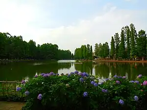 別所沼公園（2014年6月）