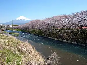 潤井川