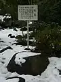 疣石