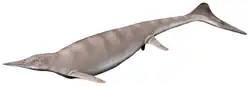 ウタツサウルス