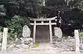 人用入口