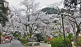 打吹公園(鳥取県倉吉市)