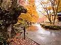 紅葉時期の園内