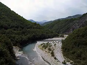 トレッビア川