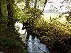 カウニッツ地区を流れるローデンバッハ川