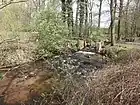ゼンデ地区を流れるランダーバッハ川