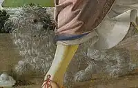 小型犬のふわりとした毛並（ディテール）