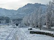 雪のコゼンツァ