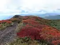 山頂部から南南西を望む
