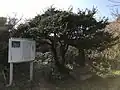 太閤潮井の石