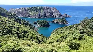 ヒリゾ浜と大根島