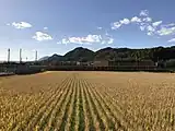 駅全景（2018年12月、遠方から）