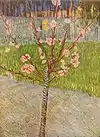 Almond Tree in Bloom1888Van Gogh Museum, Amsterdam (F557)