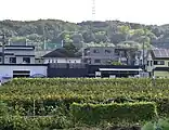 ぶどう畑（2023年10月撮影）