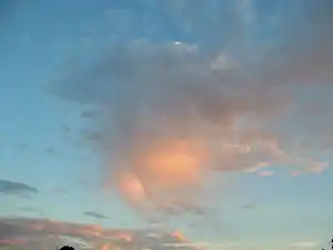 高積雲の尾流雲