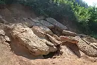 ヴィソチツァ山の層