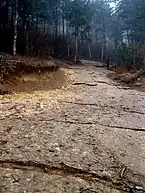 ヴィソコの層