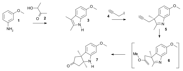 ビタミンB12の環Aの合成