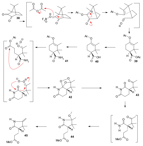 ビタミンB12の環Cの合成