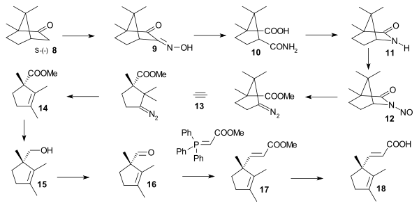 ビタミンB12の環Dの合成