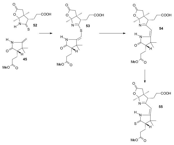 ビタミンB12の環Bと環Cのカップリング