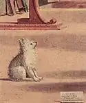 床に座った小型犬（ジャーマン・スピッツ）
