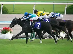 第21回優勝馬ヴィブロス（鞍上、福永祐一）