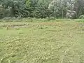 一面に地表を覆う様
